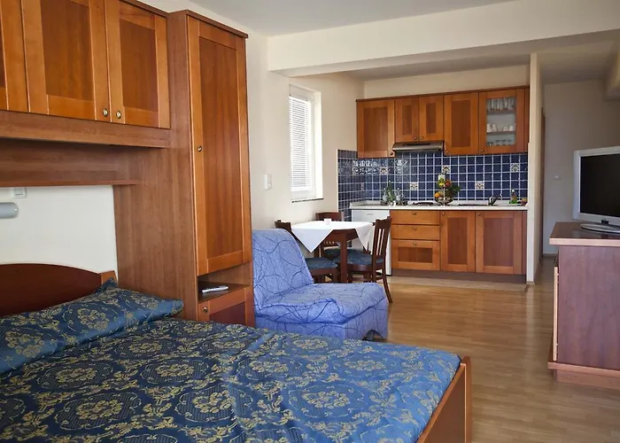 Bijeli Delfin 비오그라드나모루